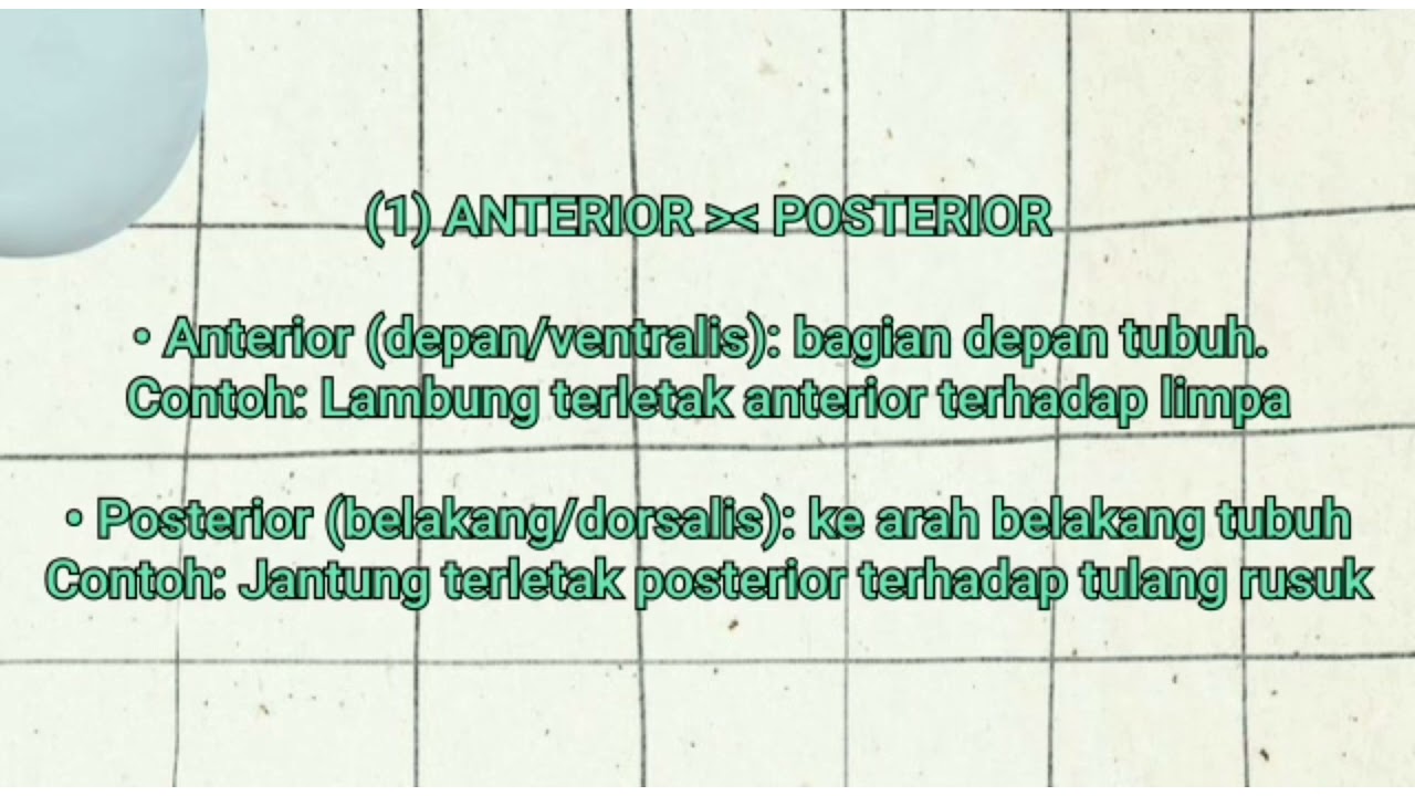 "POSISI DAN ARAH PERGERAKAN ANATOMI" D4 Kebidanan Malang Poltekkes ...