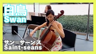 サン＝サーンス:白鳥(チェロ・ピアノ)／Saint-seans:Swan(Cello・Piano)朝♪クラ～Asa－Kura～