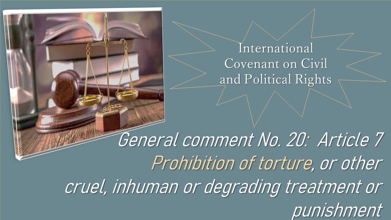 Prohibition Of Torture, Or Other Cruel, Inhuman Or Degrading Treatment ...