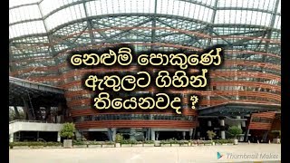 Mahinda Rajapaksha Nelum Pokuna Sri Lanka| සිංහල Vlog Sri Lanka | Life With Smile_2018