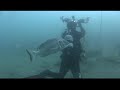 伊豆　大瀬崎ダイビング　2012.7.25　video diving log