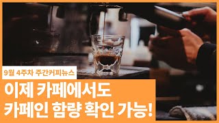 매일 먹는 아메리카노, 카페인은 얼마나 들었을까? / 9월 4주 주간커피뉴스, 커피TV