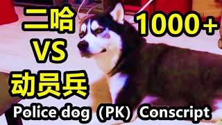 1000二哈（PK）1000动员兵 Dog(vs)Conscript 红警红色警戒2 Red Alert 2