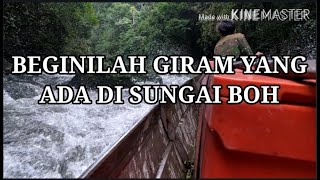 Giram di Sungai Boh || Kabupaten Malinau || Kalimantan Utara || Part 1