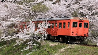 いすみ鉄道 キハ52-125+キハ28-2346編成 普通 / 急行 いすみ線 走行集