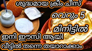 ശുദ്ധമായ ക്രീം ചീസ് ഇനി വീട്ടിൽതന്നെ തയാറാക്കാം വെറും അഞ്ച് മിനിട്ടിൽ Cream Cheese | How to Make