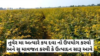 તુવેર ના પાક મા અત્યારે કય દવા નો ઉપયોગ કરવો જેથી ઉત્પાદન સારૂ આવે અને સુ કાળજી રાખવી