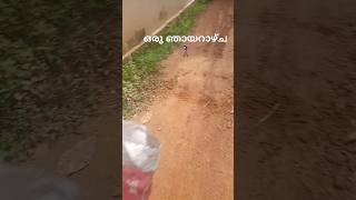 ഒരു ഞായറാഴ്ച 😄 part 1#shorts #shortsvideo #shortsfeed