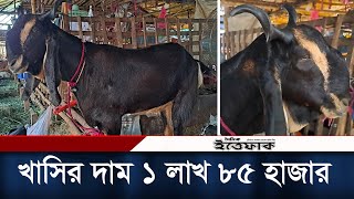 গাবতলীর হাটে সবচাইতে বড় খাসি, দাম ১ লাখ ৮৫ হাজার | Gabtoli Gorur Haat 2023 | Khashi | Daily Ittefaq