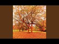 Autumn Gold