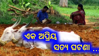 ଏକ ଅପ୍ରିୟ ସତ ଘଟଣା ||odia motivational video ||odia story video ||@mahimavastuseva