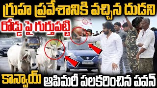 గృహప్రవేశానికి వచ్చిన దూడని రోడ్డుపై గుర్తుపట్టి కాన్వాయ్ ఆపిమరి పలకరించిన పవన్ కళ్యాణ్|PAWANKALYAN|