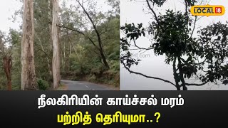 Ooty Fever Tree | நீலகிரியின் காய்ச்சல் மரம் பற்றித் தெரியுமா..?   | Nilgiris | #local18