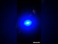 best cycle tail light under 200 cycletaillight fastped ytshorts trendingshorts viral