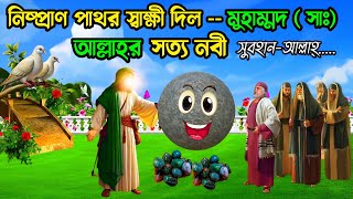 নিষ্প্রাণ পাথর স্বাক্ষী দিল মুহাম্মদ আল্লাহর সত্য নবী | সুবহানআল্লাহ! nobijir jiboni | আল্লাহর কুদরত