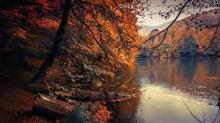 🍂 Autumn River Sounds - Relaxing Nature Video - Sleep/ Relax/ Study - 10 Hours