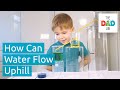 Liquids Science Experiment: Water Siphon | Kids Science