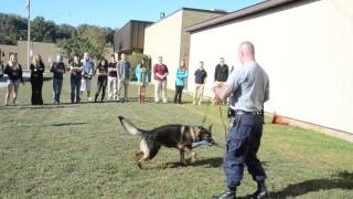 K9 demonstration at MTEC 9-23-15