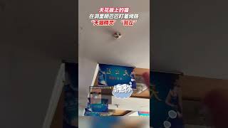 # 猫猫的迷惑行为 # 猫咪能有什么坏心思呢 # 毛孩子 猫咪在天花板的洞里露头要吃的