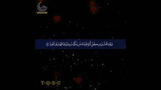 Quran kareem | قران كريم |اسلام صبحي | Islam Sobhi | Quran whatsapp Status