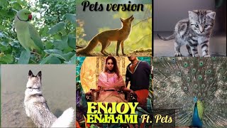 Enjoy enjaami ft. Pets | pet's version #shorts