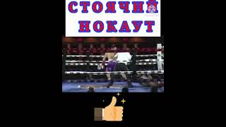 Стоячий нокаут #shorts#boks#sport