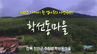 [귀농귀촌 마을소개] 학선동 참좋은동네