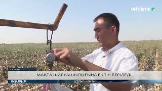 МАҚТА ШАРУАШЫЛЫҒЫНА ЕКПІН БЕРІЛЕДІ