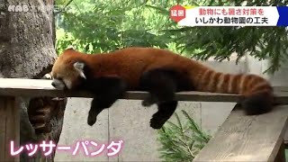 いしかわ動物園　動物たちの暑さ対策