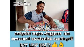 നമ്മുടെ പിള്ളേരുടെ വാഴയിലയിലെ പൊതിച്ചോറ് || Bay Leaf Malta || എല്ലാവരും ഒന്നു പ്രോത്സാഹിപ്പിക്കണട്ടോ