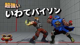 スト5 岩手(バイソン) VS ガイル 一瞬で詰める間合い 荒らし性能抜群 SF5