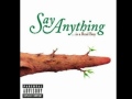 Say Anything - Admit it!