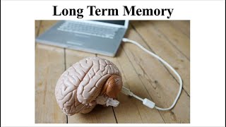 Chapter 8: Long Term Memory