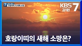 [포착! 현장7] 호랑이띠의 새해 소망은? / KBS  2022.01.03.