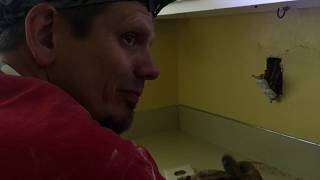 Changing Out A FPE Panel, Federal Pacific Electric, In Condo