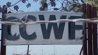 DOJ investigates sexual assault claims against California prison guards