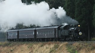 JR東日本 C11-325牽引 9121レ-9123レ SL快速「SL飯山線ロマン号1-3号」十日町/長岡行き JR飯山線/上越線/信越本線 走行集