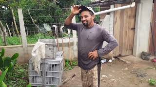 plantamos pés de Coco, um dia bastante chuvoso