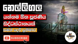 නෙල්ලිගල විහාරය | nelligala | සුමන සමන් දේව ප්‍රතීමවා | සුදු ඇත් රාජයා | traveling sri lanka | trip