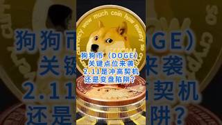 狗狗币关键点位来袭#狗狗币#币圈#doge #比特币 #加密货币 #投資