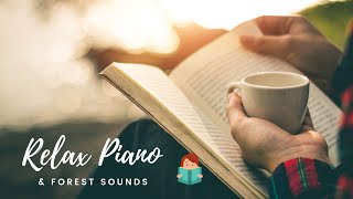 [無廣告版] 森林系鋼琴音樂～ 寧靜鋼琴和大自然音律 ☕ 讀書＆專心～ 90Min PIANO ＆ FOREST SOUND FOR CONCENTRATION