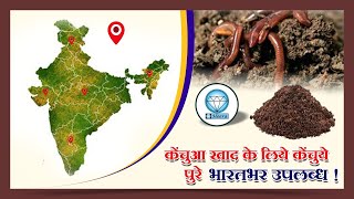 Preparing Vermicompost, केंचुवा खाद बनाने की विधि, केंचुआ खाद के लिये केंचुये पुरे भारतभर उपलब्ध !