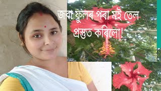 জবা ফুলৰ পৰা মই চুলিৰ তেল প্ৰস্তুত কৰিলো💖👍🏼ridipa you tube channel 🥰🙏😊 my hair care tips.my video 🙏🙏