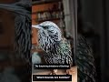 mouth bird sturnus vulgaris nature birds amazing