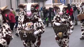 Narrentag Radolfzell - Festumzug