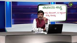 ಬೇ. ಶಾ - 121 ತಂಬಾಕಿನಲ್ಲಿ ಟೊಪಿಂಗ್, ಡಿ ಸಕ್ಕರಿಂಗ್ ಮತ್ತು ಕೊಯ್ಲು - ಡಾ. ಸಂಜೀವ ರೆಡ್ಡಿ | Toping, Desuckering