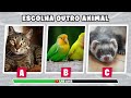 quiz monte sua casa 🏡 jogo das escolhas quiz labquiz