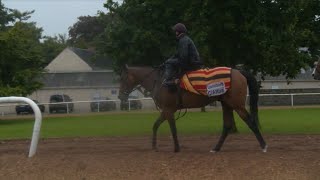 Luxembourg's Arc chances discussed by Aidan O'Brien!