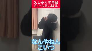 久しぶりの再会キャツミvsはる