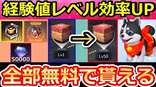 【荒野行動】無料で「仲間:クロ」限定アイテムが貰える！無課金で経験値を効率良く稼ぐ方法！無料報酬でダイヤ・トレーニング勲章も！レベル上げる方法！（バーチャルYouTuber）